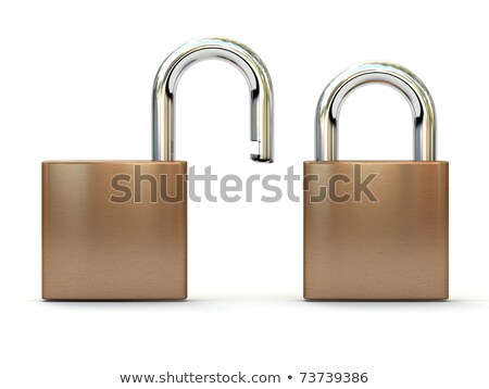 Two Locked Padlocks 3d Rendering Foto stock © AptTone