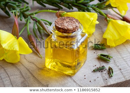 Stock photo: Evening Primrose Pods And Seeds With Evening Primrose Oil