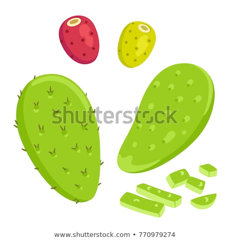 商業照片: Peeled Prickly Pear Fruits