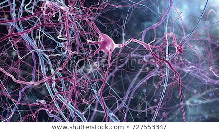 Foto stock: Close Up Render Of Neuron Brain Cells