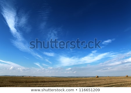 Сток-фото: Dark Clouds And Blue Sky Over Fields