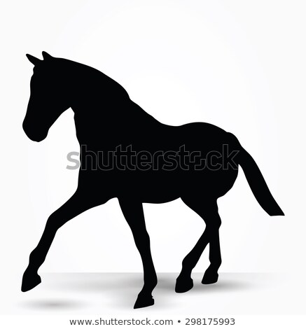 Stock fotó: Horse Silhouette In Parade Walk Pose