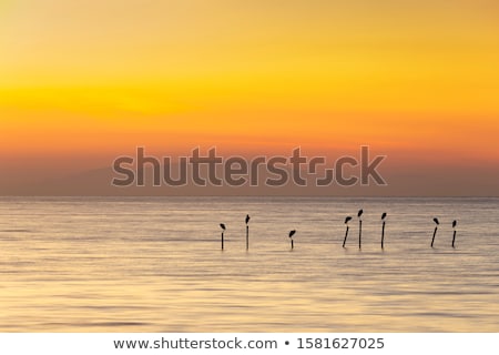 Stock foto: Minimalistic Seascape At Twilight