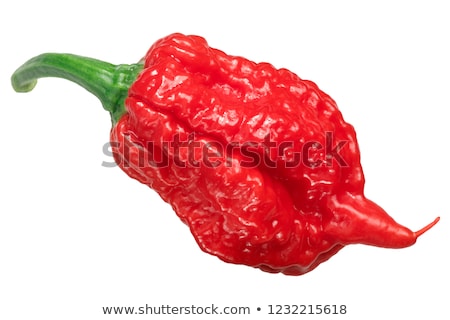 Stock fotó: Carolina Reaper Chile Pepper Whole Pod Top