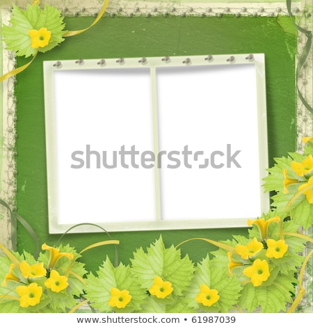 Foto stock: Grunge Paper Frames With Flowers Pumpkins And Ribbons