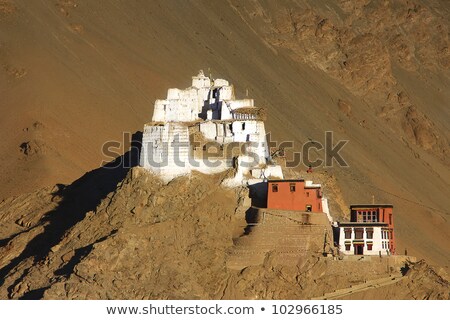 ストックフォト: Namgyal Tsemo Gompa And Fort Leh Ladakh