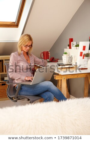 Stock foto: Woman Browsing The Internet