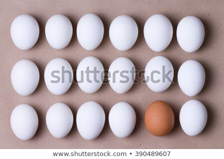 ストックフォト: Rows Of Fresh White Eggs With One Brown One