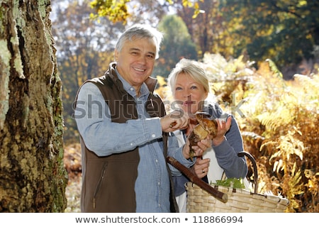 Zdjęcia stock: Couple Picking Mushrooms