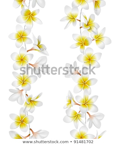 Tropical Necklace Seamless Border Foto stock © fixer00