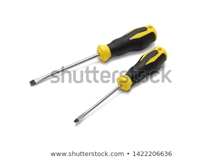 Foto d'archivio: Two Screwdrivers