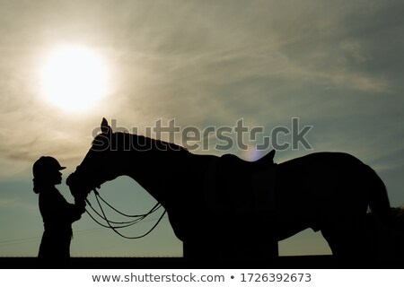 ストックフォト: Girl With Horse Silhouette At Sunset