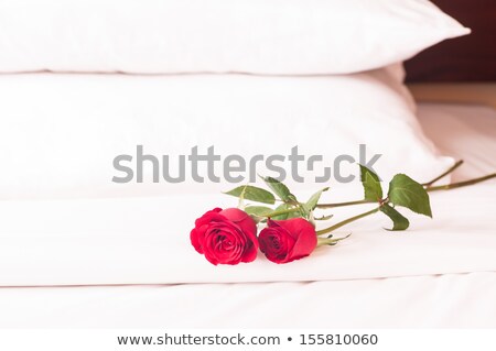 Two Roses On A Bed Stockfoto © Calvste