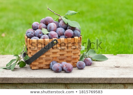 Stock foto: Basket With Plum