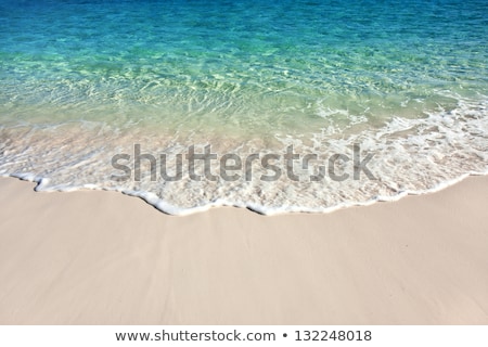 Stock photo: Warm Sunset On The Sand Beach