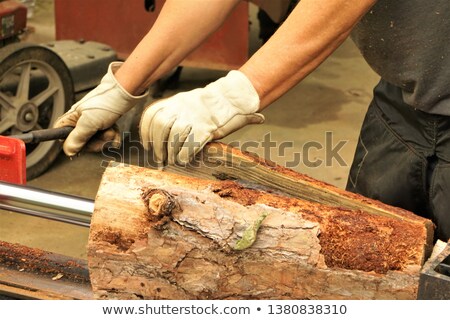 Stockfoto: Log Splitter