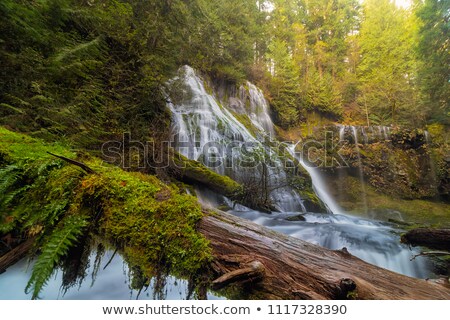 Stock fotó: Panther Creek In Washington State