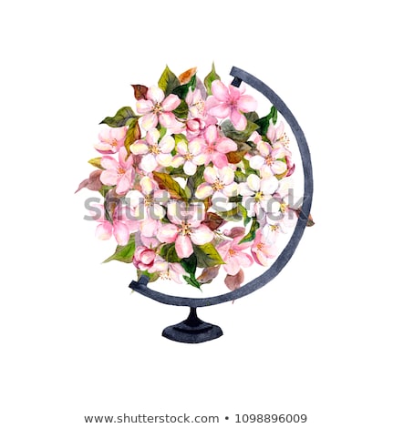 [[stock_photo]]: Botanical Art Watercolor Globe Flower