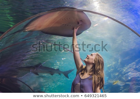 Foto stock: Young Woman Touches A Stingray Fish In An Oceanarium Tunnel