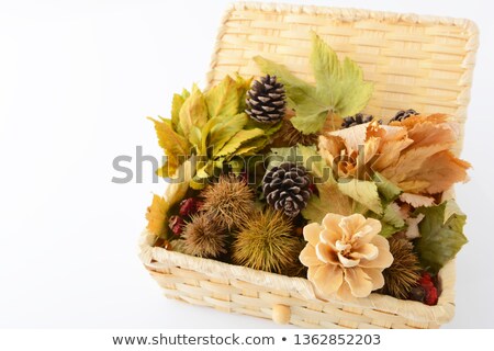 Autumn Background With Maple Leaves Full Basket Of Fall Leaves On Grass Stock foto © sunabesyou