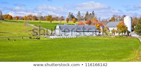 [[stock_photo]]: Silo In Beautiful Landscape