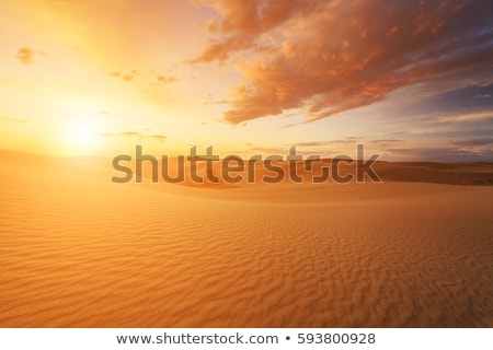 Foto d'archivio: Sunset In Desert