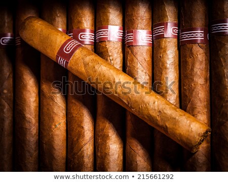 [[stock_photo]]: Cigars In Open Humidor Box