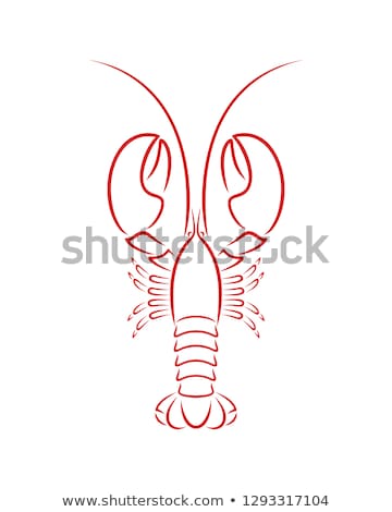 Stock fotó: Animal Outline For Lobster
