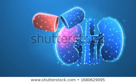 ストックフォト: Kidney Health Care Abstract Blue Background