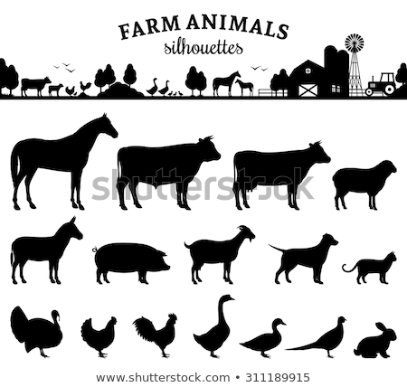Stock photo: Pig Silhouette Farm Animal