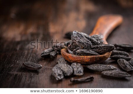 Stockfoto: Fragrant Tonka Beans For Baking And Cooking