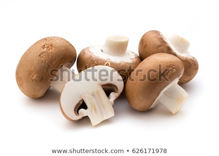 Stock fotó: Champignon Mushroom