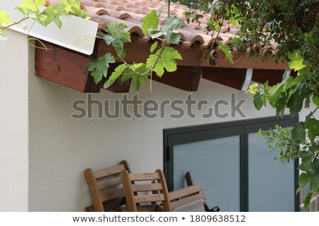 ストックフォト: Zen Building In A Garden At A Sunny Morning