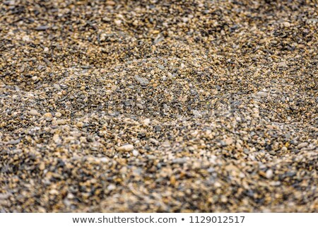 Stock foto: Rough Concrete And Pebble Beach Shallow Depth Of Field