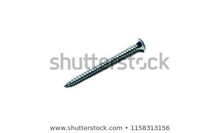 Zdjęcia stock: Phillips Head Screwdriver And Wood Screws