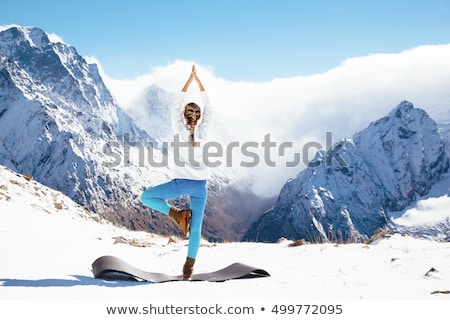 Stock photo: Young Blonde Posing In Winter