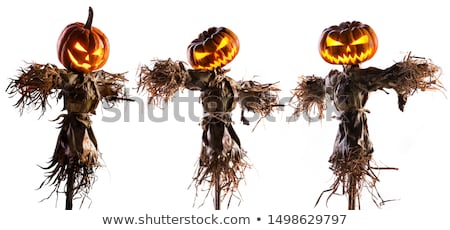 Foto stock: Scarecrow