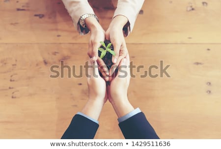 Stock foto: Growing Partnership