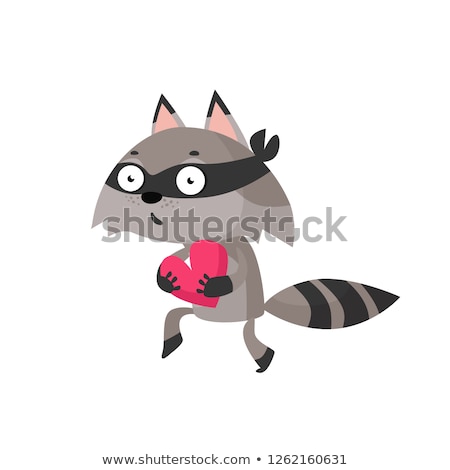 Stock photo: Raccoon Carrying A Heart