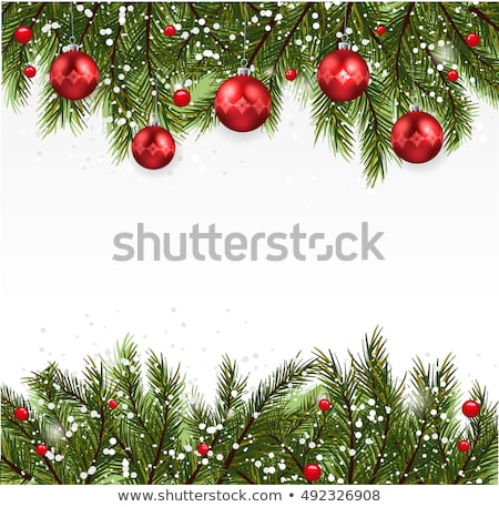 Zdjęcia stock: Christmas Fir Tree Branch Covered By Snow Card