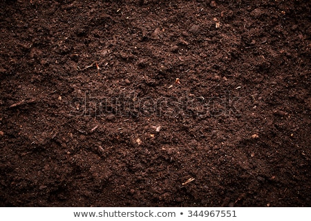 Foto stock: Texture Of Soil