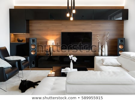 Сток-фото: Living Room With Sofa And Television
