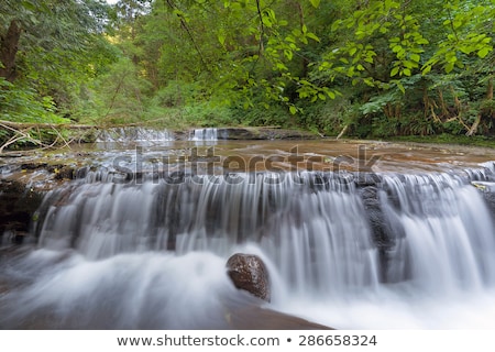 Foto stock: Cascading Waterfall At Sweet Creek Falls Trail