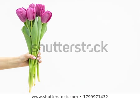 ストックフォト: Woman Holding Bunch Of Flowers