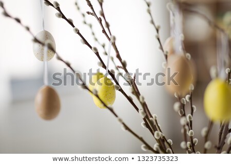 Stockfoto: Close Up Of Pussy Willow Decorated By Easter Eggs