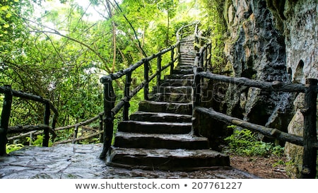 Zdjęcia stock: Amazing Stone Staircase Fence Tree