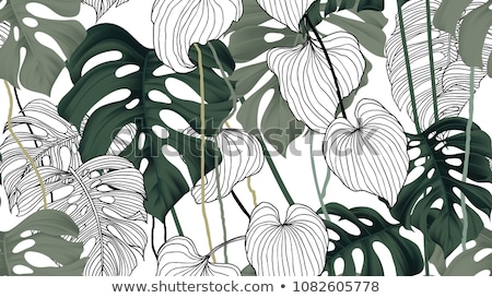 Stockfoto: Seamless Leaf Pattern Background