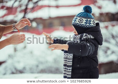 Zdjęcia stock: A Nice Mother And Son In Snowy Landscape