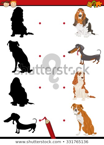 Stock photo: Educational Shadows Task With Dogs