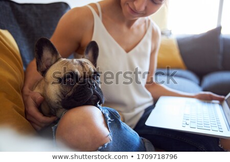 Stok fotoğraf: Anonymous Young Female Working On Sofa With Pet Dog